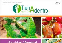 Publicación INIA ahonda en el valor de las soluciones basadas en la naturaleza para las problemáticas del sector agroalimentario