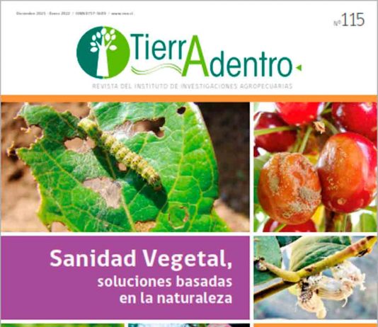 Publicación INIA ahonda en el valor de las soluciones basadas en la naturaleza para las problemáticas del sector agroalimentario