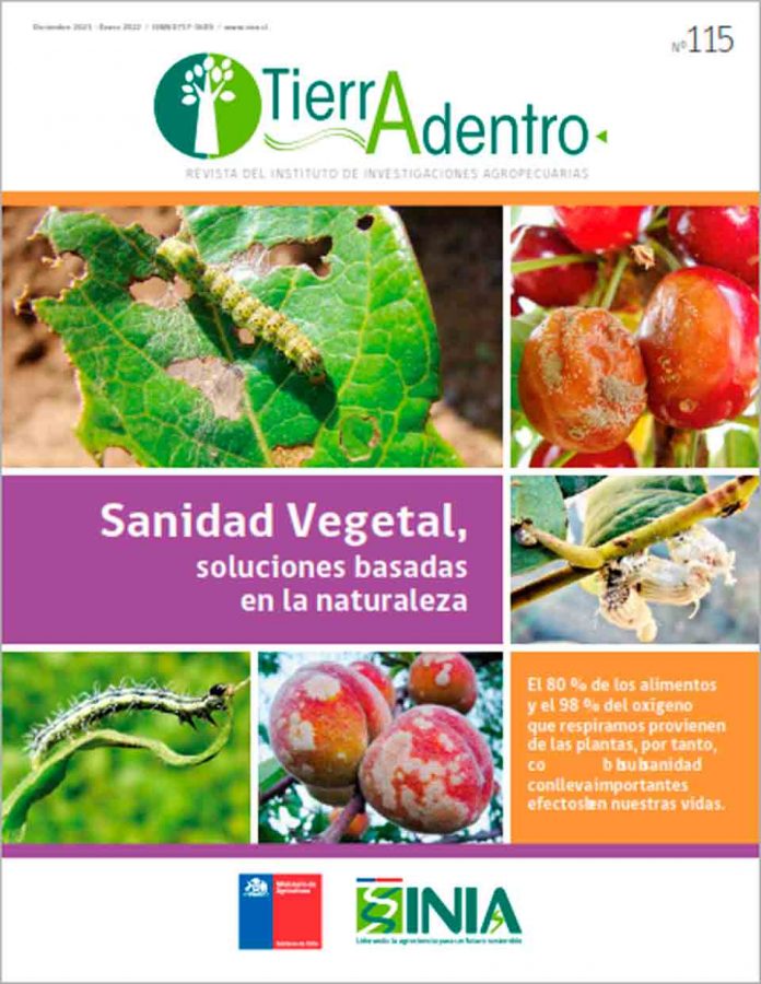 Publicación INIA ahonda en el valor de las soluciones basadas en la naturaleza para las problemáticas del sector agroalimentario