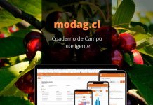 Torneo de Innovación Agrícola AGROCELER