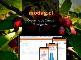 Torneo de Innovación Agrícola AGROCELER