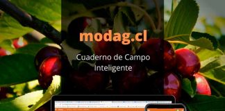 Torneo de Innovación Agrícola AGROCELER