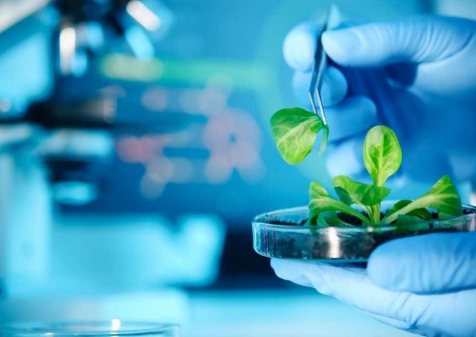 super biocompuesto plantas resistan la sequía y salinidad