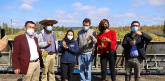 viñateros del Valle del Itata