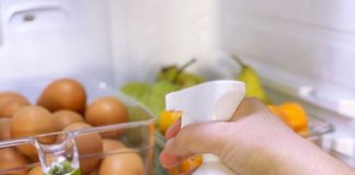 AdClean Foods - elimina de los alimentos las bacterias