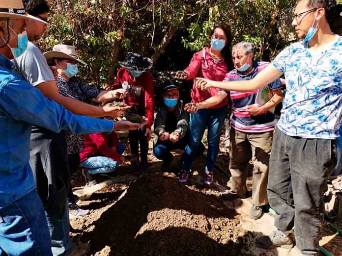 Biopreparados: Manejo agroecológico para nutrir los cultivos de temporada