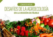 Congreso virtual agroecología