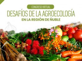 Congreso virtual agroecología