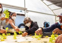 Emprendedor agrícola desarrolla innovadora silla de ruedas para el trabajo en el campo