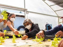 Emprendedor agrícola desarrolla innovadora silla de ruedas para el trabajo en el campo