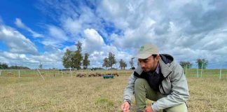 Especialista de INIA evalúa inocuidad alimentaria en la carne de cordero producida en el sur de Chile