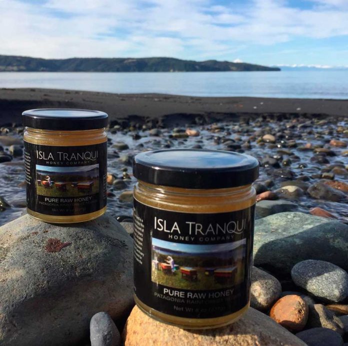 Exportación de miel desde Chiloé a Estados Unidos - isla Tranqui Queilen