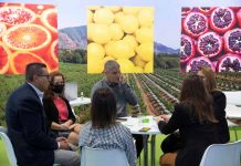 La feria Fruit Attraction 2022 en Madrid abre el plazo de inscripciones para las empresas hortofrutícolas y participantes