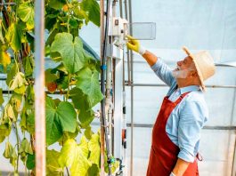 Mantenimiento de equipos de riego es clave para una agricultura Sustentable