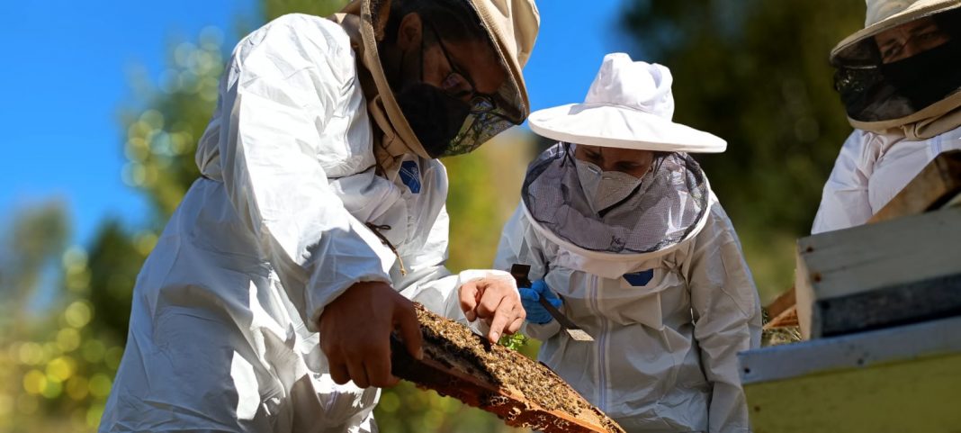 Mesa Apícola apicultores Región del Biobío