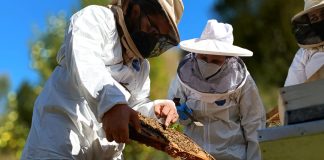 Mesa Apícola apicultores Región del Biobío