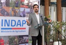 Santiago Rojas Alessandri, nuevo director nacional de INDAP