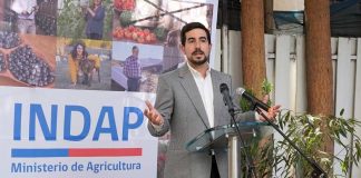 Santiago Rojas Alessandri, nuevo director nacional de INDAP