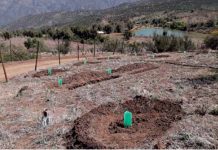 Seremi de agricultura da el puntapié inicial a sus actividades en conversatorio de CONAF en el santuario San Francisco De Lagunillas