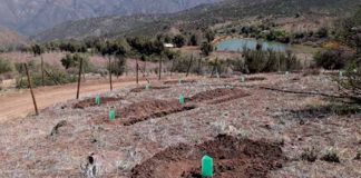 Seremi de agricultura da el puntapié inicial a sus actividades en conversatorio de CONAF en el santuario San Francisco De Lagunillas