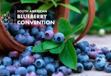 South American Blueberry Convention