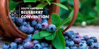 South American Blueberry Convention