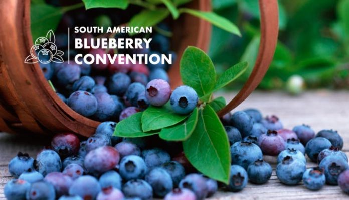 South American Blueberry Convention