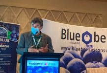 XVIII Seminario Internacional Blueberries Chile 2022