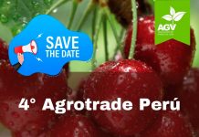 Agrotrade Perú