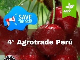 Agrotrade Perú