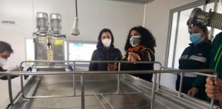 Autoridades del Agro destacan trabajo de sala comunitaria de cosecha de miel en Tucapel 