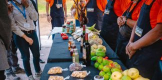 Camarones realizará su primer Mercado Campesino en Arica 