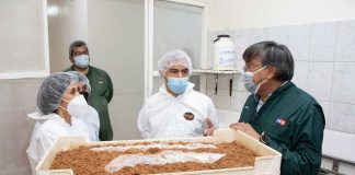 Centro de Insectos Estériles del SAG para controlar plagas