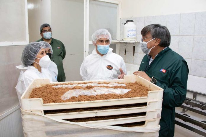 Centro de Insectos Estériles del SAG para controlar plagas