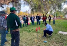 Chinche pintada en la Región Metropolitana: Comienzan cursos de manejo de plaguicidas para pequeños agricultores 