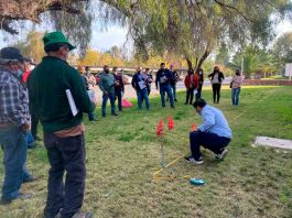 Chinche pintada en la Región Metropolitana: Comienzan cursos de manejo de plaguicidas para pequeños agricultores 