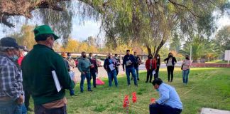 Chinche pintada en la Región Metropolitana: Comienzan cursos de manejo de plaguicidas para pequeños agricultores 