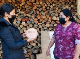 Comerciantes y productores de la provincia del Biobío reciben Sello Calidad de Leña