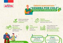 Crédito Siembra por Chile registra más de 200 agricultores interesados en su contratación durante la primera semana 