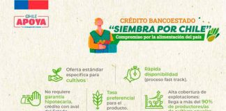 Crédito Siembra por Chile registra más de 200 agricultores interesados en su contratación durante la primera semana 