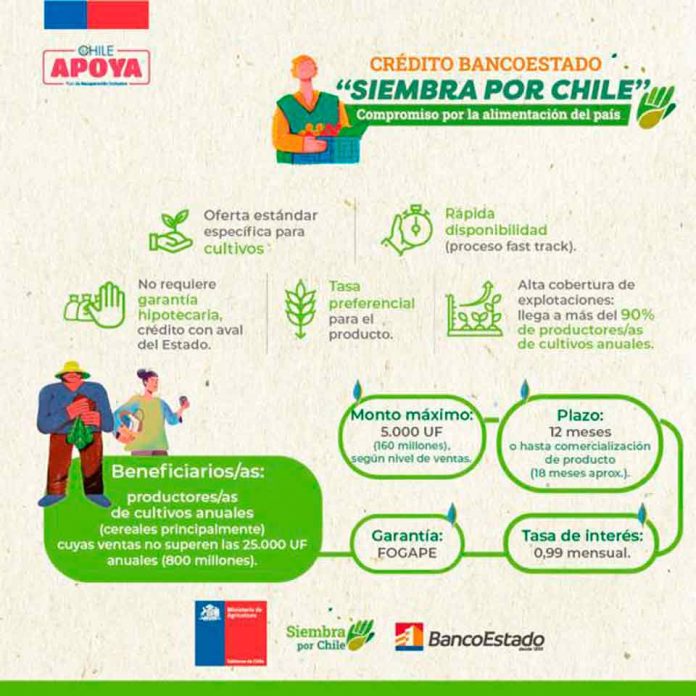 Crédito Siembra por Chile registra más de 200 agricultores interesados en su contratación durante la primera semana 