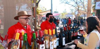 El regreso de la Expo Viñas Campesinas fue organizado por INDAP, la municipalidad y COVICAM