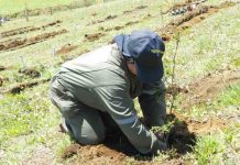 En las cuatro provincias de la región de Aysén se realizaron Seminarios de Cierre del programa “Innovación en prácticas sustentables para la adaptación al cambio climático”