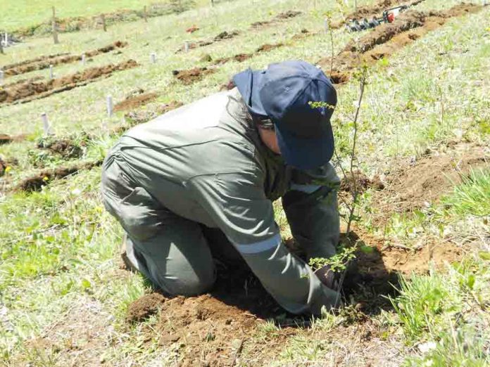 En las cuatro provincias de la región de Aysén se realizaron Seminarios de Cierre del programa “Innovación en prácticas sustentables para la adaptación al cambio climático”