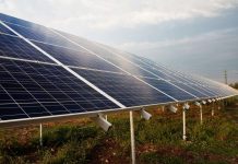 Energía Fotovoltaica en el agro Holding Lihuén