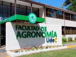 Facultad de Agronomía realiza docencia en colaboración internacional en línea con Universidad de Argentina