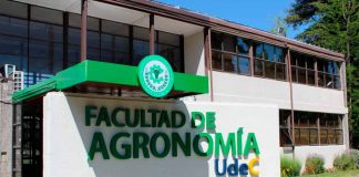 Facultad de Agronomía realiza docencia en colaboración internacional en línea con Universidad de Argentina