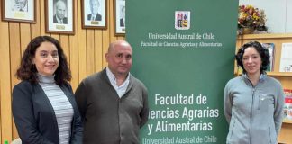 INIA y la UACh buscan estrechar vínculos en temas de investigación y extensión en el ámbito agroalimentario