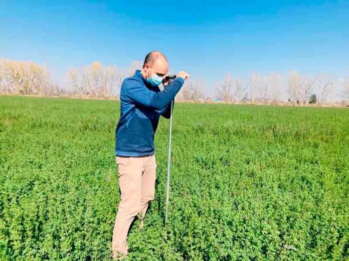 Investigación INIA busca mitigar el efecto de los microplásticos en suelos agrícolas  