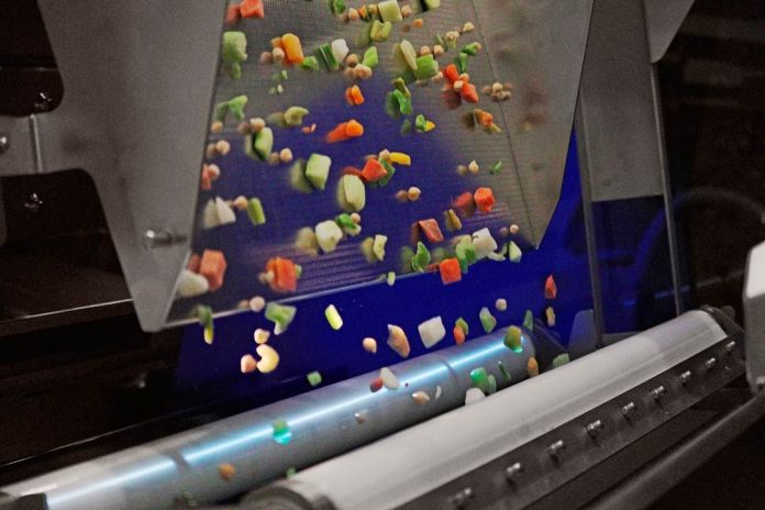 MÁQUINA DE CLASIFICACIÓN PREMIUM CON TECNOLOGÍA BSI PARA FRUTA Y VERDURA IQF